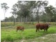 269 Boughtons Road, Bucca QLD 4670