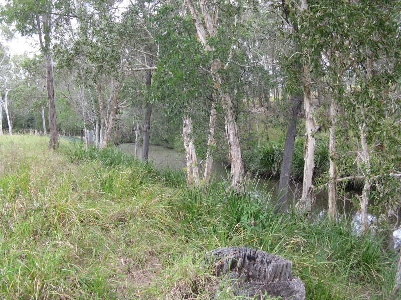 269 Boughtons Road, Bucca QLD 4670