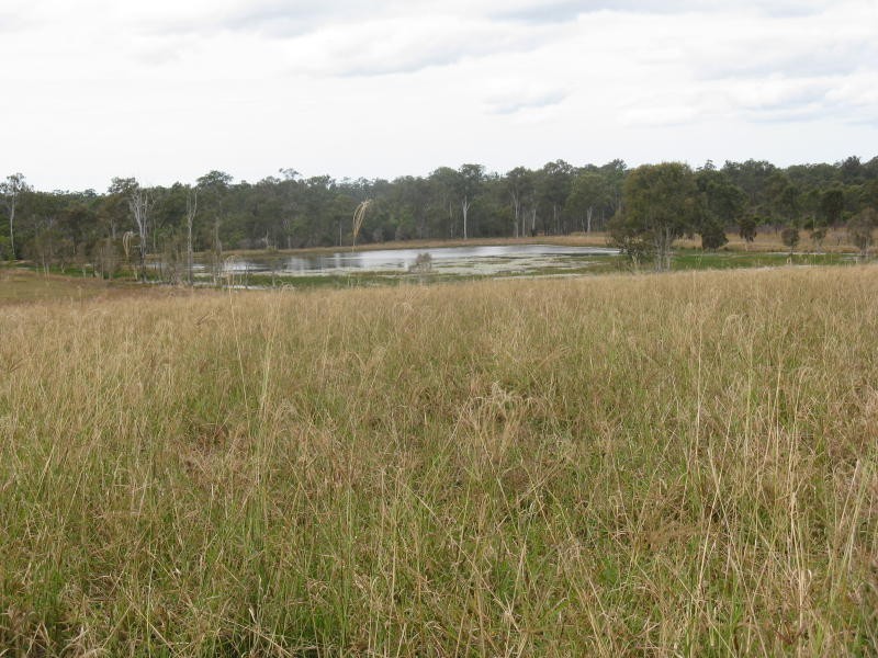 269 Boughtons Road, Bucca QLD 4670