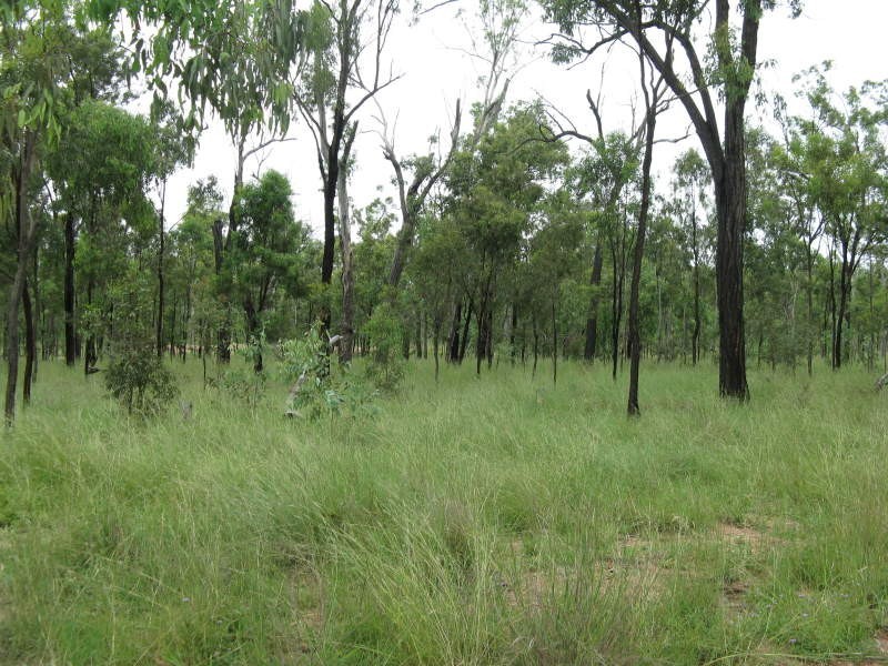 Mundubbera QLD 4626