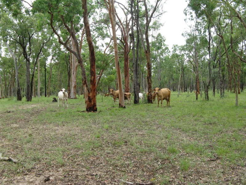 Mundubbera QLD 4626