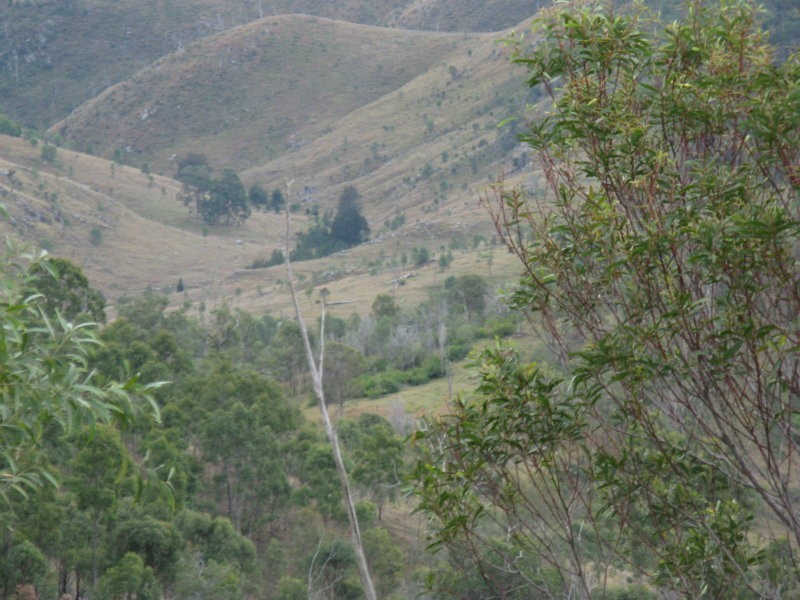 93 Wangool Road, Mount Perry QLD 4671