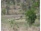 Lot 264 Towns Creek Road, Mount Perry QLD 4671
