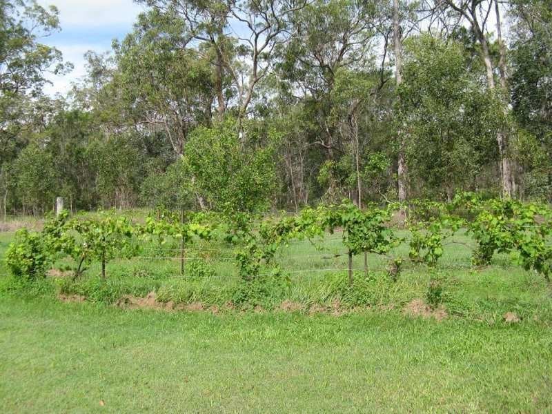 3546 Bundaberg Road, Bullyard QLD 4671