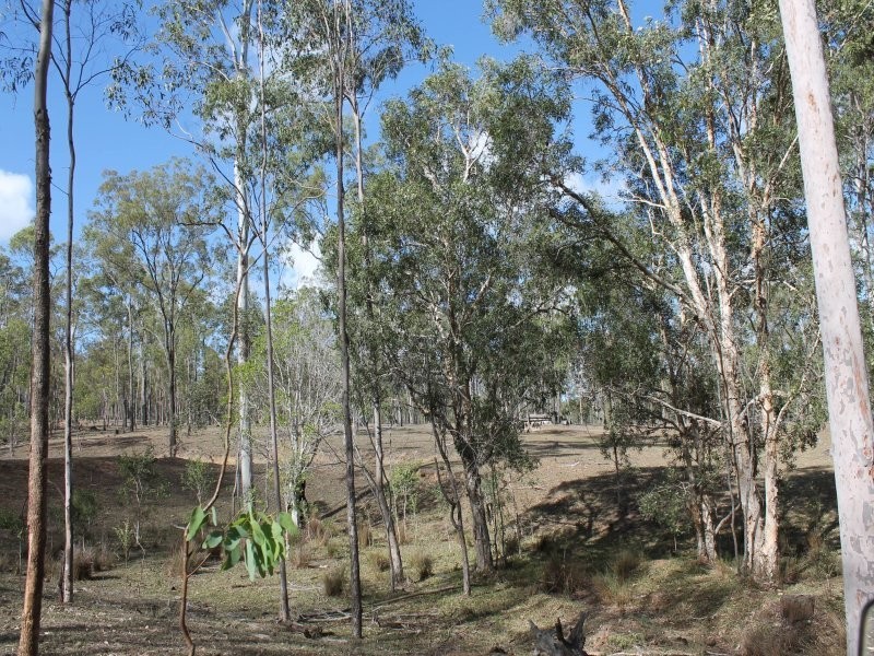 178 Stocks Road, Apple Tree Creek QLD 4660