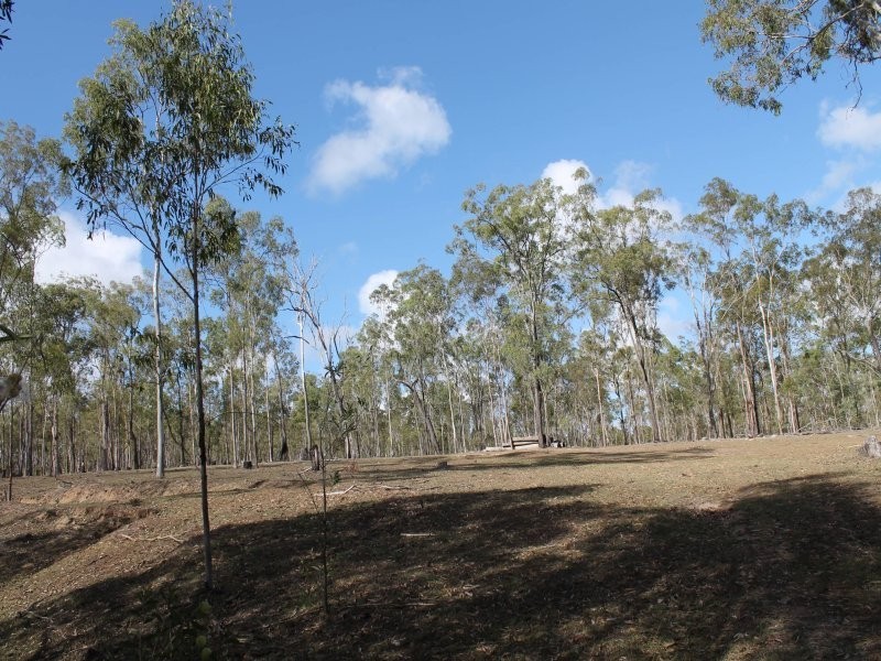 178 Stocks Road, Apple Tree Creek QLD 4660