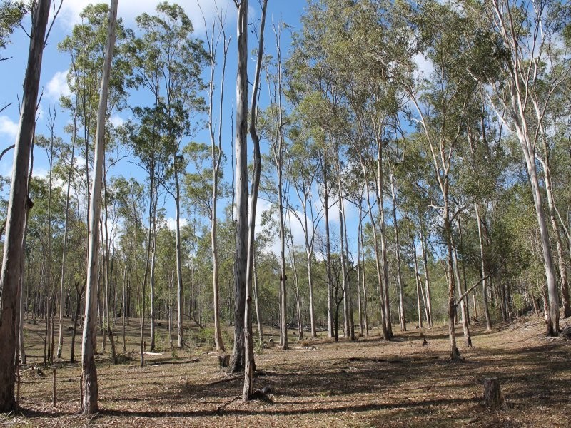 178 Stocks Road, Apple Tree Creek QLD 4660