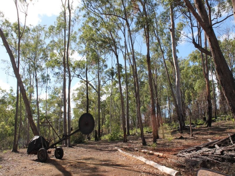 178 Stocks Road, Apple Tree Creek QLD 4660