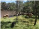 55 Tableland Road, Horse Camp QLD 4671