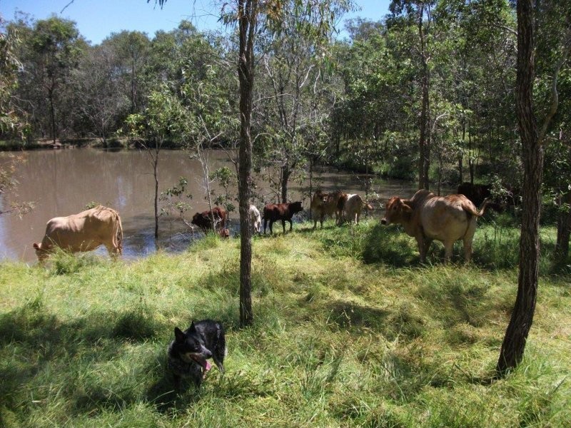 55 Tableland Road, Horse Camp QLD 4671