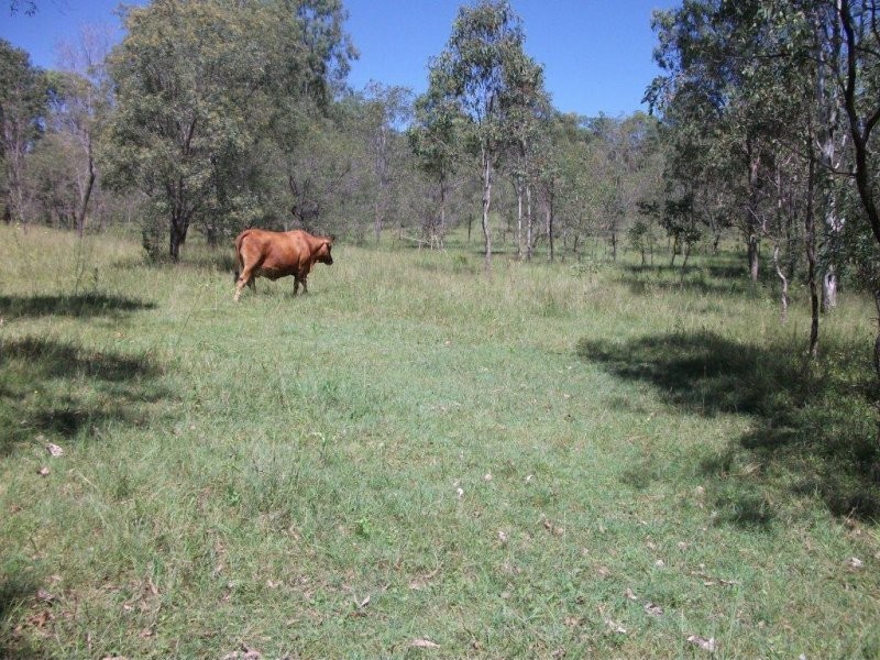 55 Tableland Road, Horse Camp QLD 4671