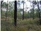 Nearum QLD 4671