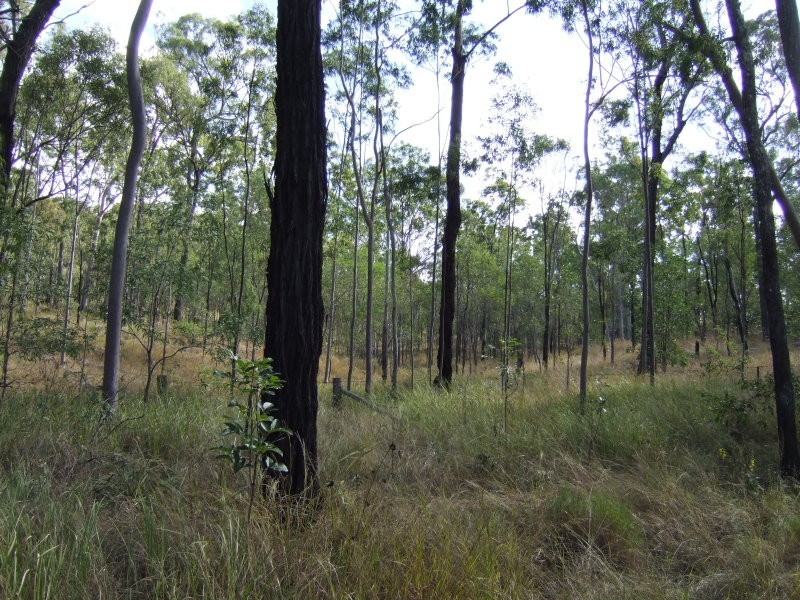 Nearum QLD 4671