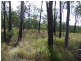 Nearum QLD 4671