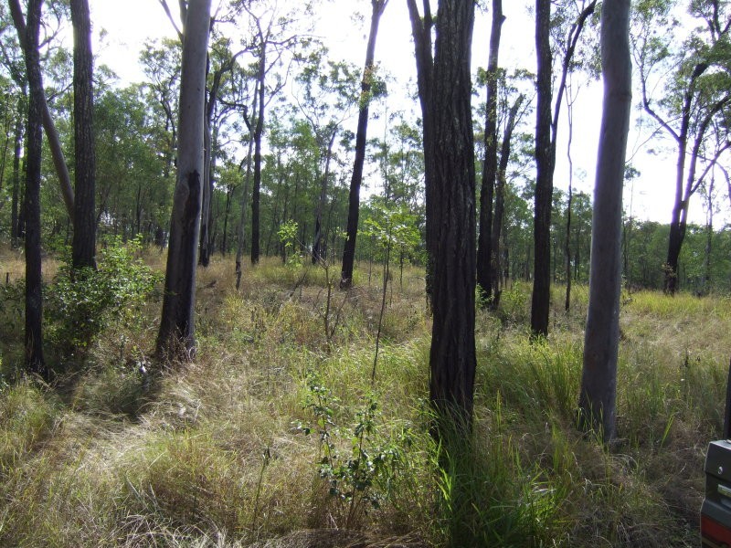 Nearum QLD 4671