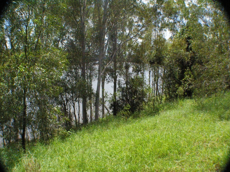 664 River Road, Bungadoo QLD 4671