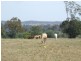 664 River Road, Bungadoo QLD 4671