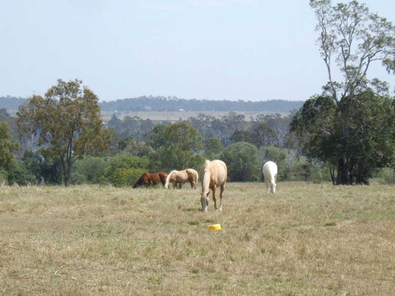 664 River Road, Bungadoo QLD 4671