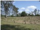 Lot 1 Blaxland Street, Gin Gin QLD 4671