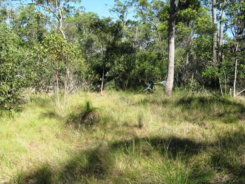 Lot 73 Heales Road, Meadowvale QLD 4670