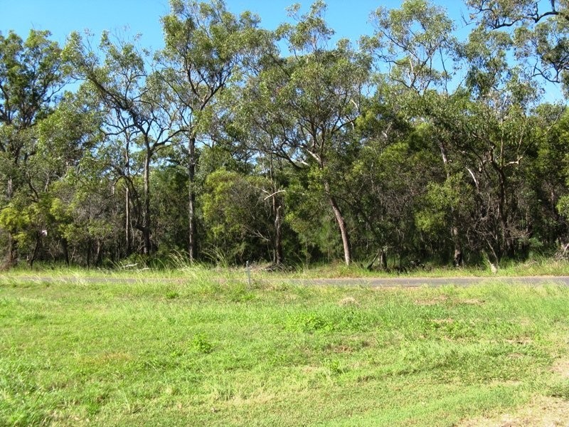 Lot 73 Heales Road, Meadowvale QLD 4670