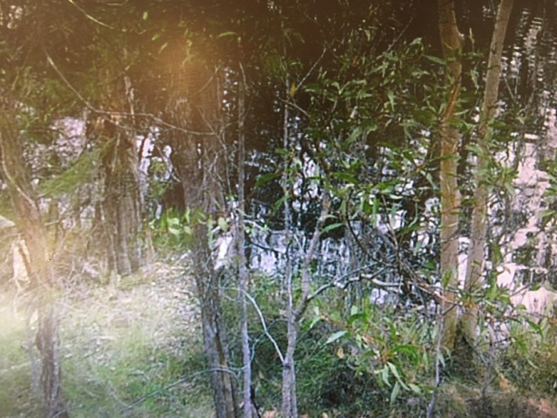 Lot 73 Heales Road, Meadowvale QLD 4670