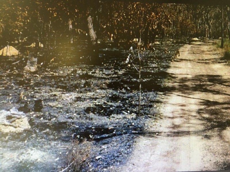 Lot 73 Heales Road, Meadowvale QLD 4670