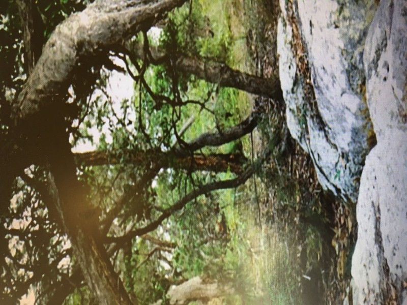 Lot 73 Heales Road, Meadowvale QLD 4670