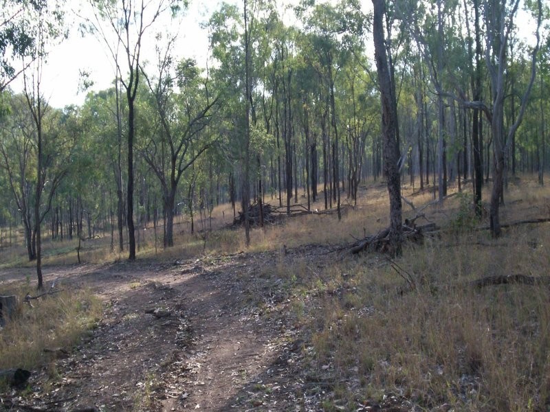 150 Chavasse Drive, Wonbah QLD 4671