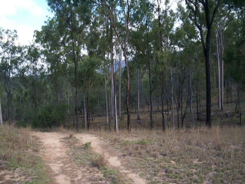 150 Chavasse Drive, Wonbah QLD 4671