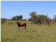 232 Petersens Road, Yandaran QLD 4673