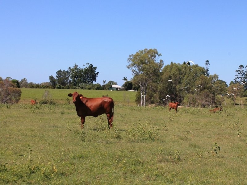 232 Petersens Road, Yandaran QLD 4673