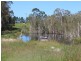 232 Petersens Road, Yandaran QLD 4673