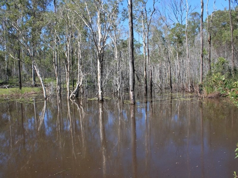 232 Petersens Road, Yandaran QLD 4673