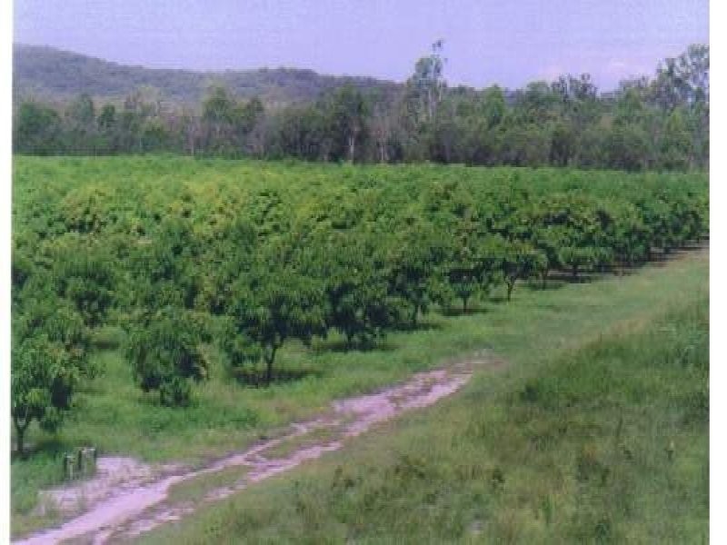 876 Pacific Drive, Deepwater QLD 4674