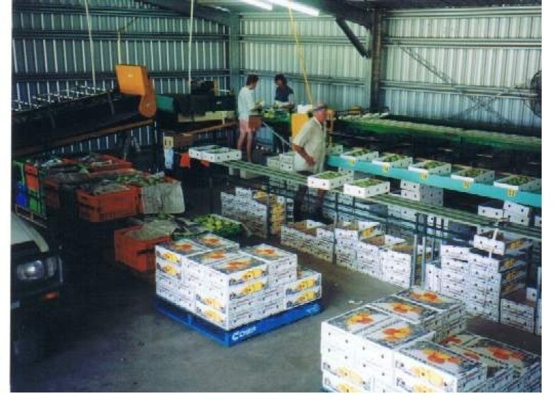 876 Pacific Drive, Deepwater QLD 4674