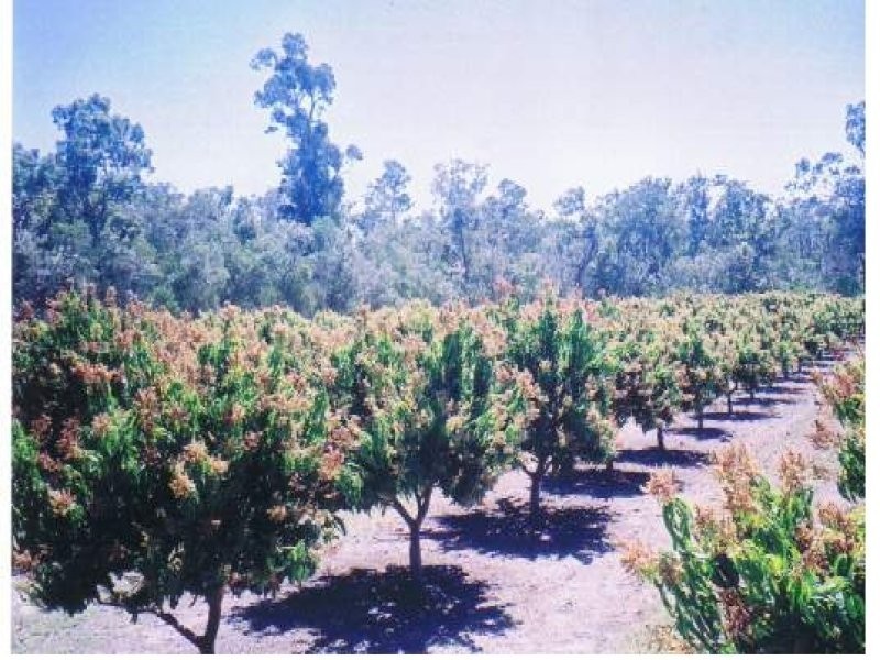 876 Pacific Drive, Deepwater QLD 4674