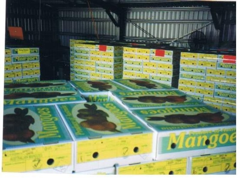 876 Pacific Drive, Deepwater QLD 4674