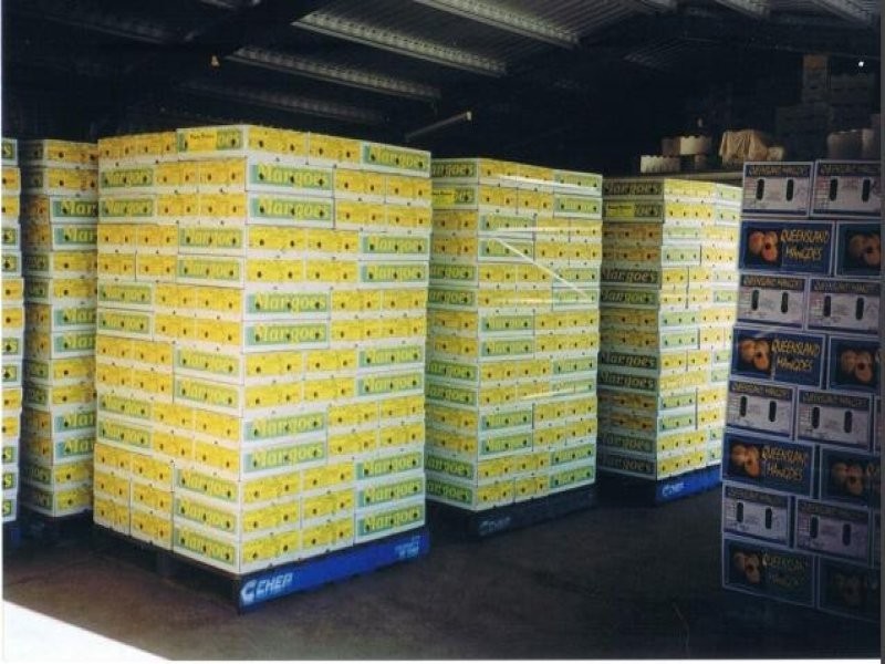 876 Pacific Drive, Deepwater QLD 4674