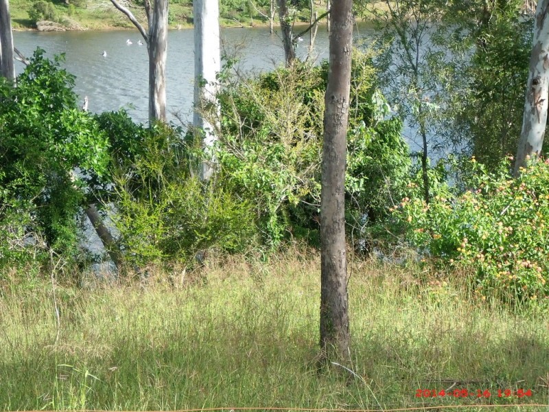 135 East River Pines Road, Gin Gin QLD 4671