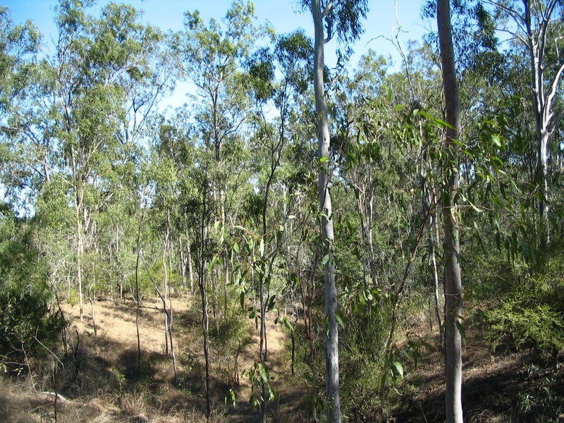 Lot 2 River Road, Fairymead QLD 4670
