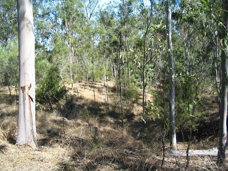 Lot 2 River Road, Fairymead QLD 4670