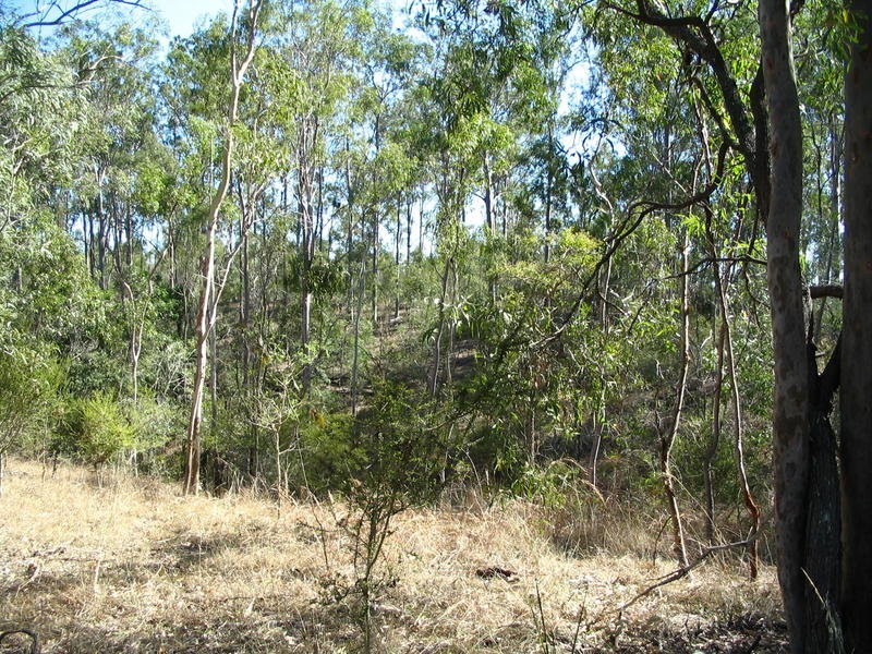 Lot 2 River Road, Fairymead QLD 4670