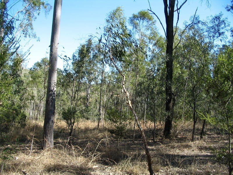 Lot 2 River Road, Fairymead QLD 4670