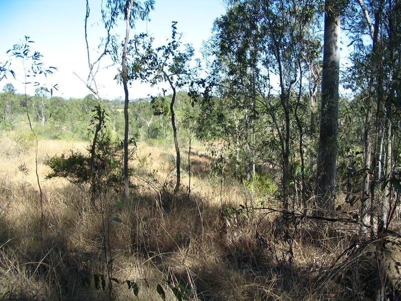 Lot 2 River Road, Fairymead QLD 4670