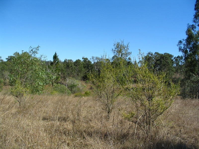Lot 2 River Road, Fairymead QLD 4670