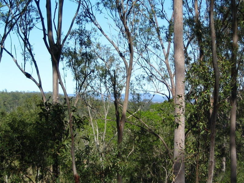 Lot 2 River Road, Fairymead QLD 4670