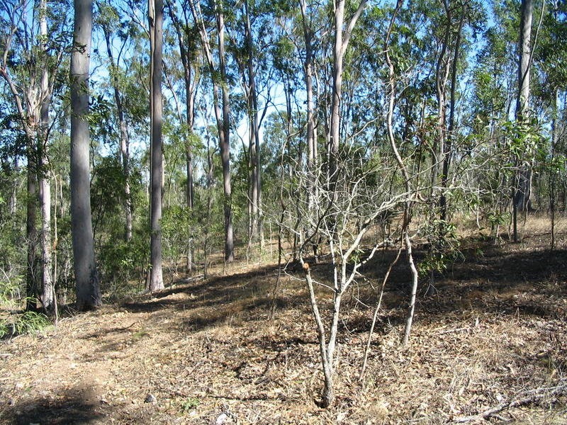Lot 2 River Road, Fairymead QLD 4670