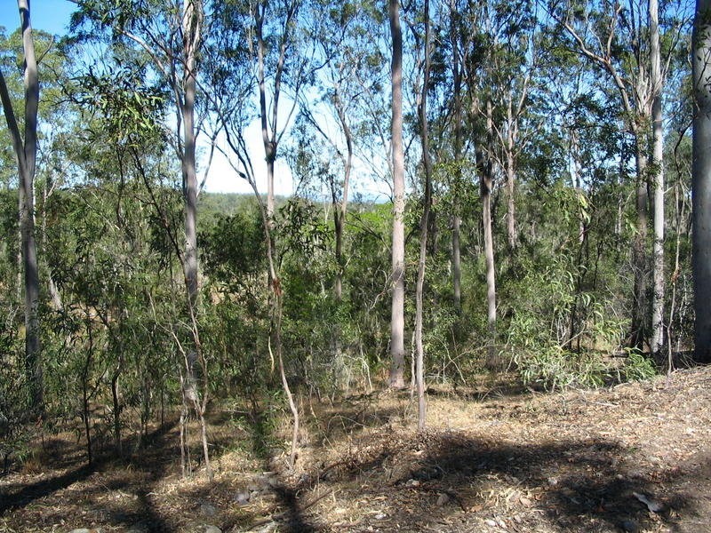 Lot 2 River Road, Fairymead QLD 4670