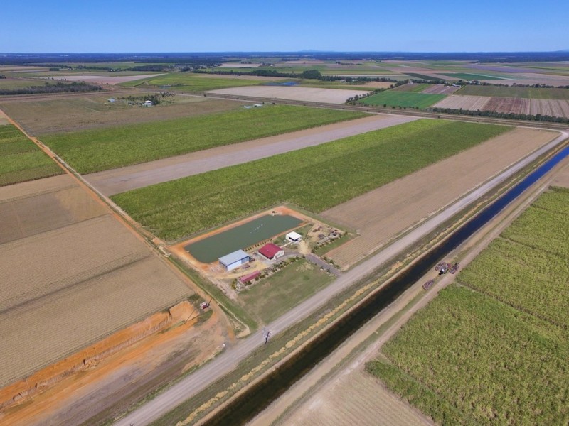 397 Eardleys Road, Welcome Creek QLD 4670